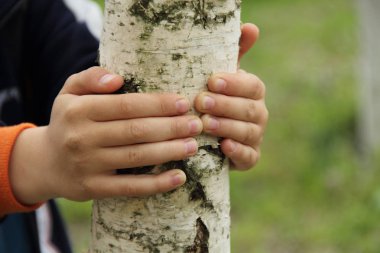 Çocuğun elleri genç bir huş bagajında sıktı