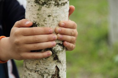 Çocuğun elleri genç bir huş bagajında sıktı