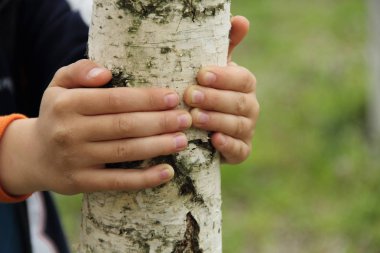 Çocuğun elleri genç bir huş bagajında sıktı