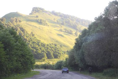 dağlar arasında yol. bitki örtüsü ile kaplı dağları
