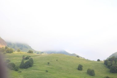 çim ve çiçek ile kaplı dağları