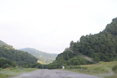 dağlar arasında yol. bitki örtüsü ile kaplı dağları