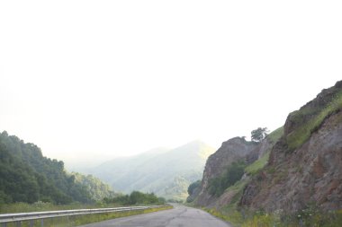 dağlar arasında yol. bitki örtüsü ile kaplı dağları