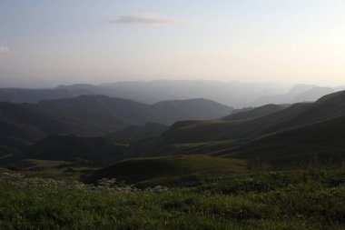 çim ve çiçek ile kaplı dağları