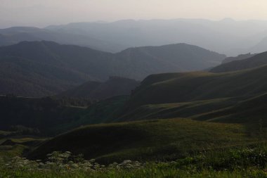 çim ve çiçek ile kaplı dağları