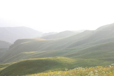 çim ve çiçek ile kaplı dağları