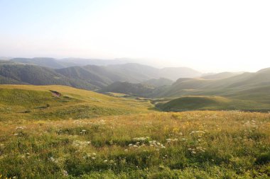 çayır çiçek ve ormanla kaplı dağ başında