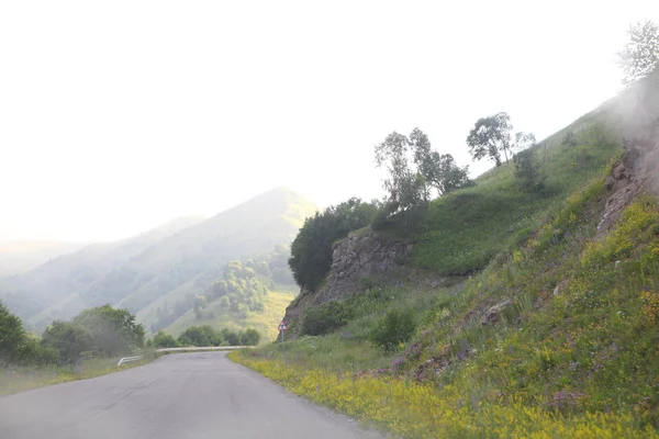 dağlar arasında yol. bitki örtüsü ile kaplı dağları