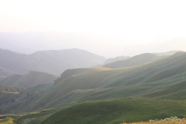 çim ve çiçek ile kaplı dağları