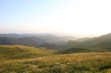 çayır çiçek ve ormanla kaplı dağ başında
