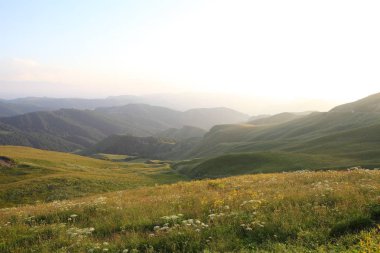 çim ve çiçek ile kaplı dağları