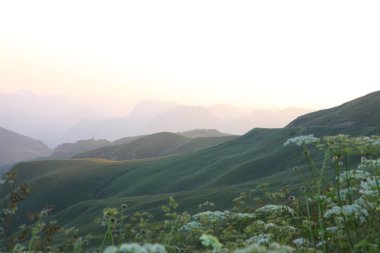 çayır çiçek Dağı nın yamacında
