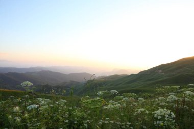 çayır çiçek Dağı nın yamacında