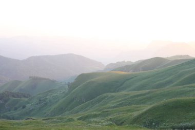 ormanla kaplı dağları