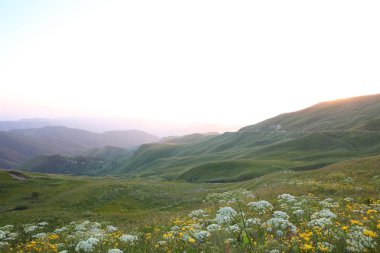 çayır çiçek Dağı nın yamacında