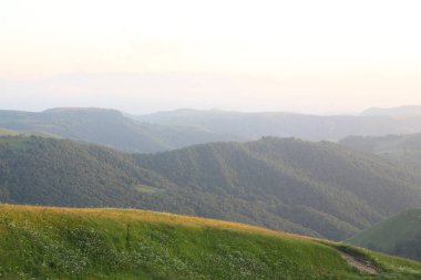 ormanla kaplı dağları