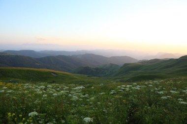 ormanla kaplı dağları