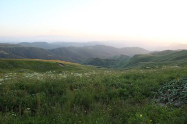 ormanla kaplı dağları