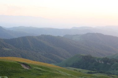 ormanla kaplı dağları