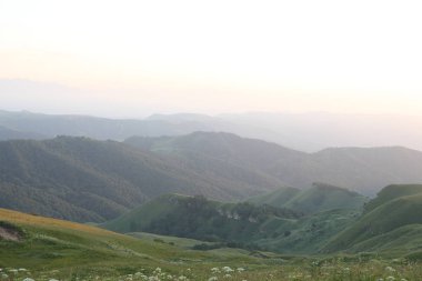 ormanla kaplı dağları