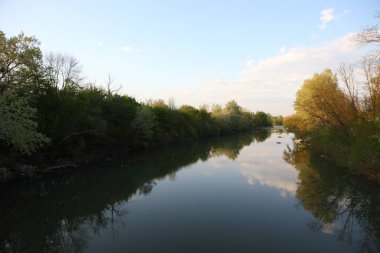 Ormandaki nehir. Gökyüzü su yansıtır. Manzara