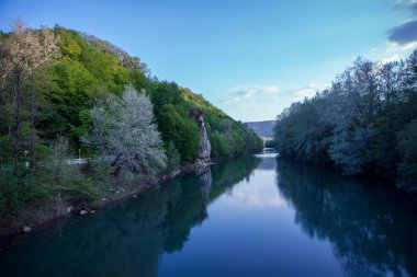 Ormandaki nehir. Gökyüzü su yansıtır. Manzara