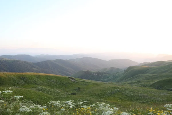 ormanla kaplı dağları