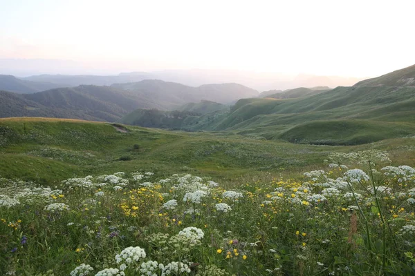 ormanla kaplı dağları