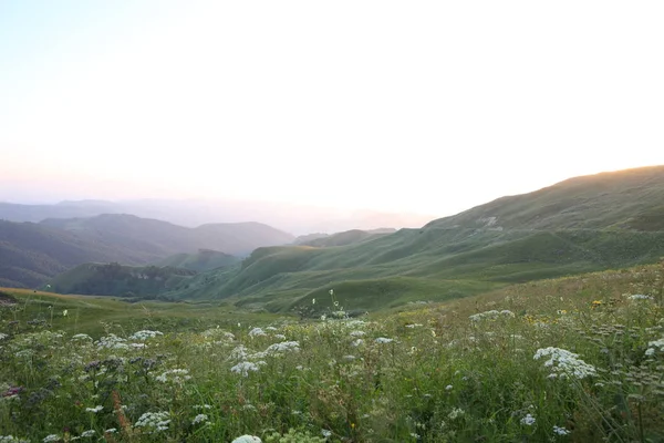 ormanla kaplı dağları