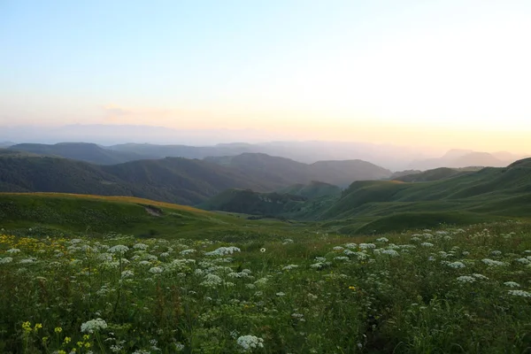 ormanla kaplı dağları