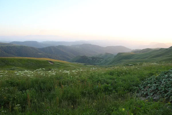 ormanla kaplı dağları