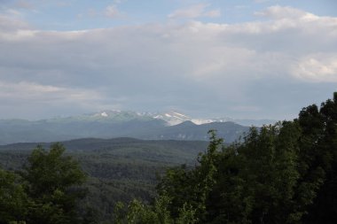 ormanlar ve karla kaplı dağları ile kaplı dağları