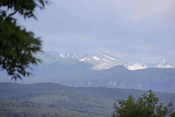 Sommets Enneigés Des Montagnes Pentes Montagnes Couvertes Bois — Photo