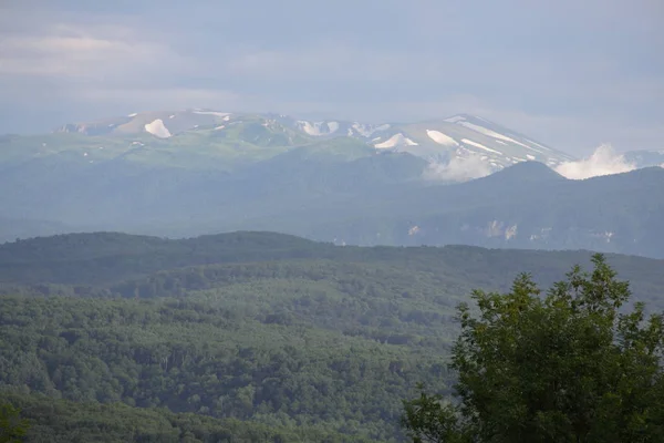 Śnieg Szczytach Gór Zboczach Gór Pokryte Drewno — Zdjęcie stockowe