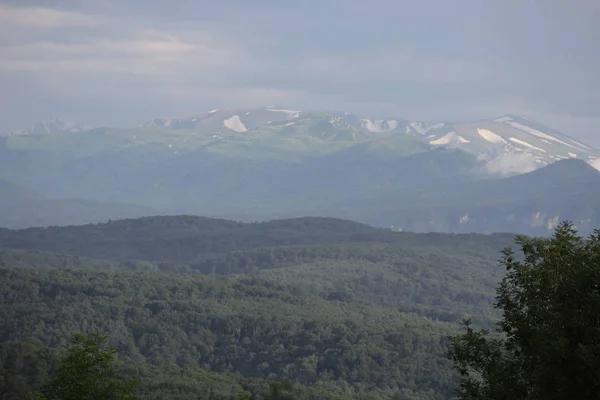 Berge Mit Wäldern Und Schneebedeckten Bergen — Stockfoto
