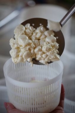 Peynir hamur formları. Peynir pişirme