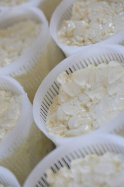 Peynir hamur formları. Peynir pişirme