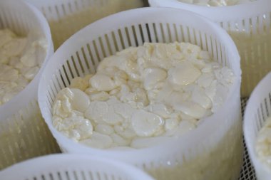 Peynir hamur formları. Peynir pişirme