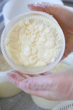 Peynir hamur formları. Peynir pişirme