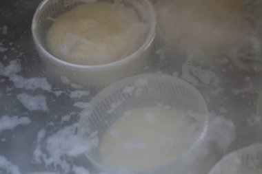 Peynir hamur formları. Peynir pişirme