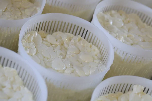 Cheese Dough Forms Cooking Cheese — Stock Photo, Image