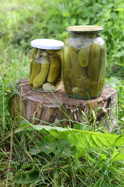 Pepinos Enlatados Latas — Foto de Stock