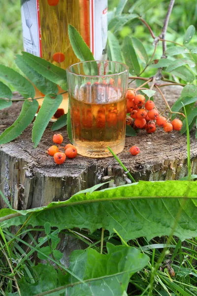 Rowan Βάμμα Βάμμα Του Ashberry Ένα Διαφανές Μπουκάλι — Φωτογραφία Αρχείου