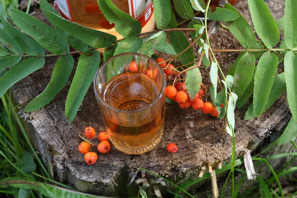 Rowan Tentür Ashberry Şeffaf Şişede Tentür — Stok fotoğraf