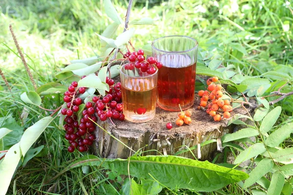 Compota Cereza Roja Fresno Montaña — Foto de Stock