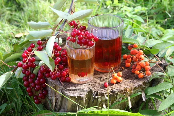 Bebida Cereza Roja Ceniza Montaña — Foto de Stock