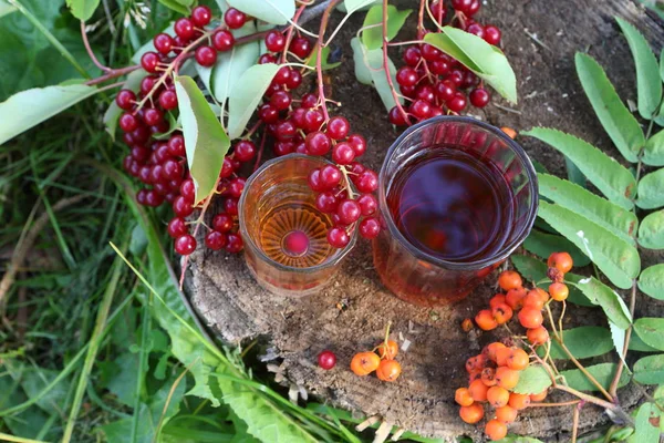 Bebida Cereza Roja Ceniza Montaña — Foto de Stock