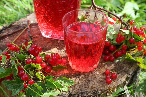 Compota Grosella Roja Vaso Transparente — Foto de Stock