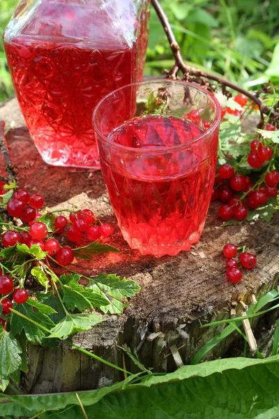 Compota Grosella Roja Vaso Transparente — Foto de Stock