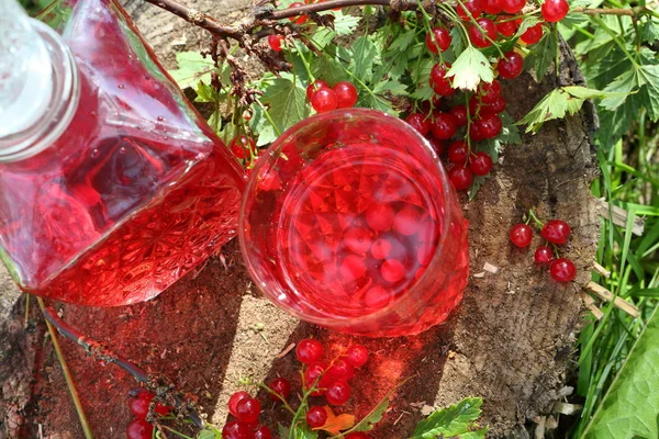 Compota Grosella Roja Vaso Transparente — Foto de Stock